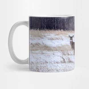 Whitetailed deer in a field. Mug